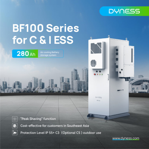 Dyness BF100 – 100kWh energijos kaupiklis