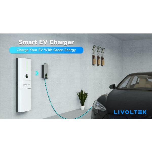 Livoltek 11kW kintamosios srovės elektromobilių įkrovimo stotelė (3 Ph)
